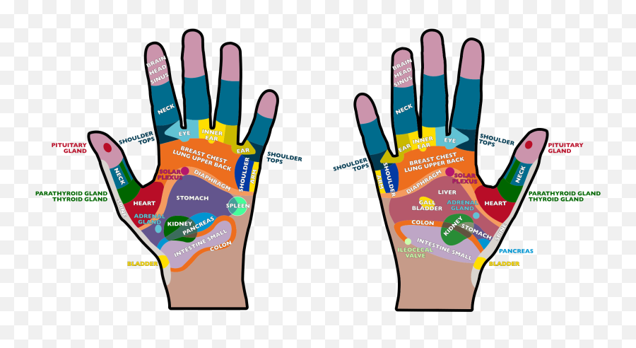 Back Of Hand Png - Reflex Hands Reflexology Hand Massage Masajes De Manos Reflexologia Emoji,Massaging Head Emoji