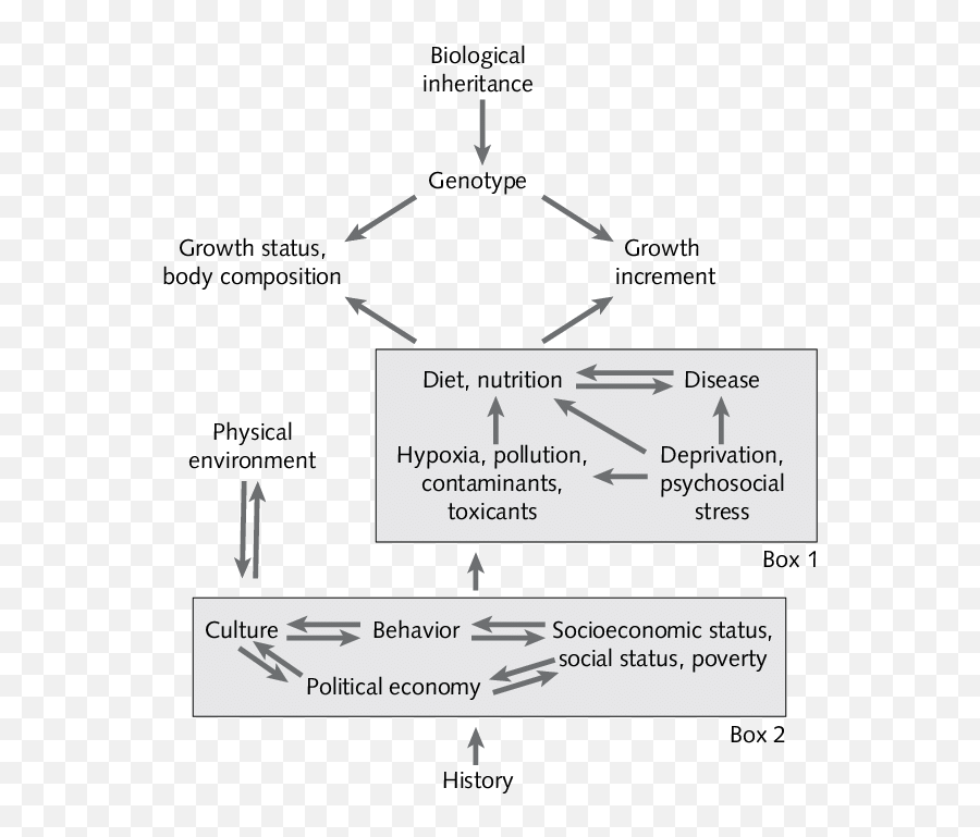 What Are Some Cultural Factors That Influence Child Development Emoji,Culture And Emotion Noba