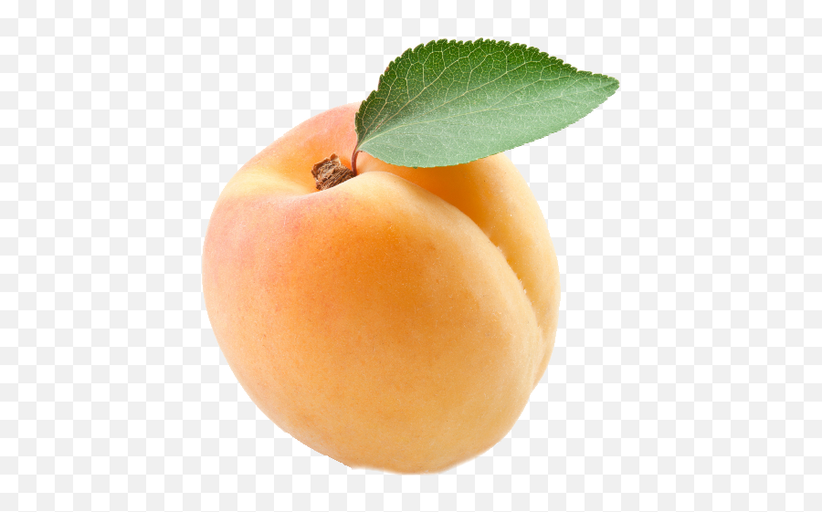 Apricot Psd Official Psds Emoji,High Res Apricot Emoji