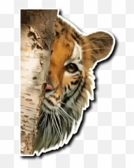 Telegram Sticker From Tiger Tiger Pack Emoji,Bengal Emoji