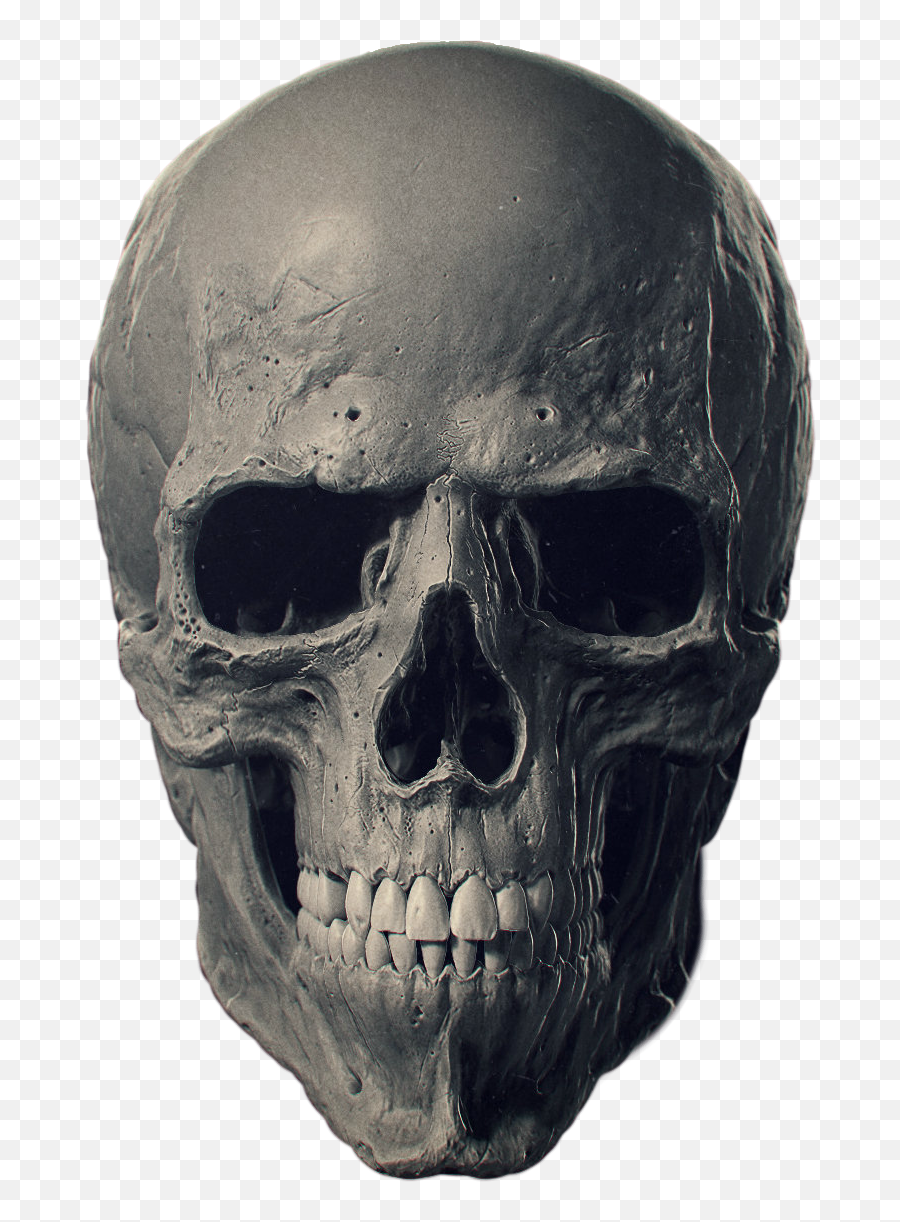 Free Transparent Skull Png Download - Skeleton Skull Png Emoji,Skull Head Emoji