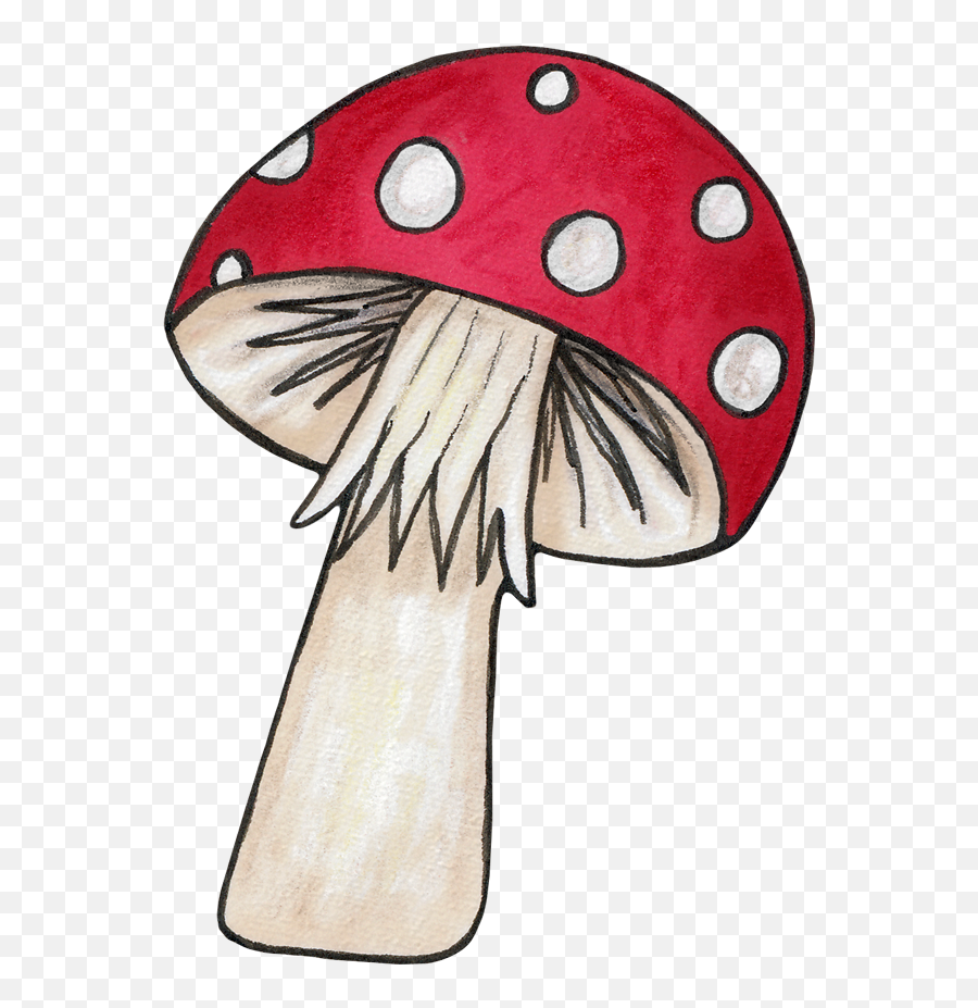 Mushrooms Clipart Woodland Mushroom Mushrooms Woodland - Prent Paddenstoel Emoji,Mushrooms Emoji