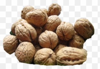 The Most Edited Walnut Picsart - Quitar Las Estrías Alimentos Emoji,Walnut Emoticon