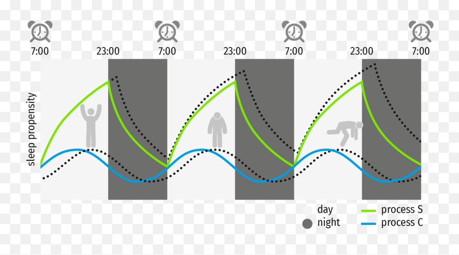 Time To Redefine Adhd - Brainclinics Adhd Circadian Rhythm Emoji,Process Model Of Emotion Regulation