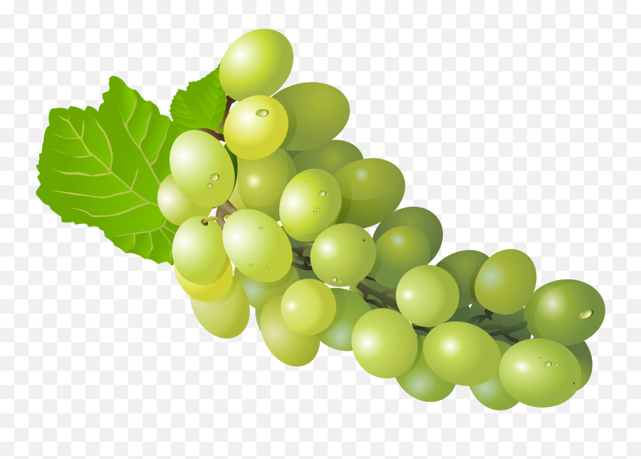 Grapes Png Photo - Fruit Grapes Png Emoji,Grapes Emoji Transparent