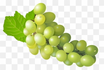 Grapes Png Photo - Fruit Grapes Png Emoji,Grapes Emoji Transparent