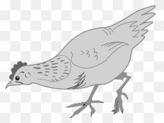 Httpswwwpicpngcomwhite - Birdduckwingslandingpng Gambar Ayam Makan Hitam Putih Emoji,Chicken And Hatchet Animated Emoticon