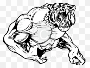 Tiger Clipart Muscle - Muscle Tiger Png Download Full Black And White Tiger Cartoon Png Logo Emoji,Facebook Arm Flex Emoticon