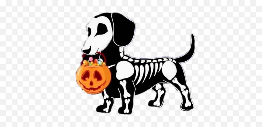 Halloween Skeletons Sticker Challenge On Picsart - Halloween Weiner Dog Cartoon Emoji,Halloween Thinking Emoji