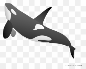 Clip Art Killer Whale Cetacea Vector - Killer Whale Png Vector Emoji,Free Whale Emoji