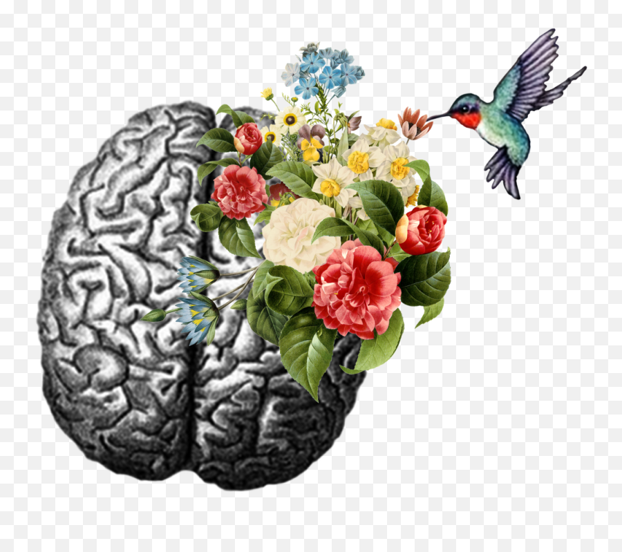 Download Hd Hummingbird Brain - Sticker Emotional Emoji,Psychology Emotion Images