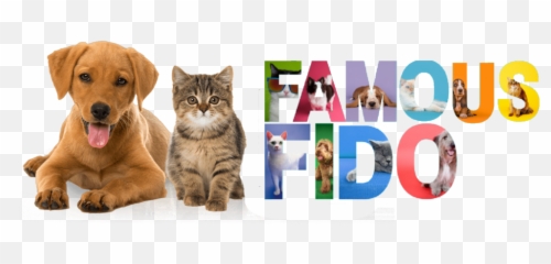 Famous Fido Rescue U2013 Building A No More Homeless No Kill Nation Emoji,Emotion Pets Cherry The Cat Like Toy