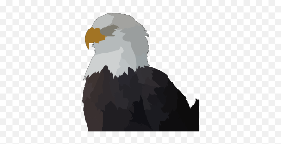 Eagle Head In Color Png Svg Clip Art For Web - Download Emoji,Head In The Clouds Emoji