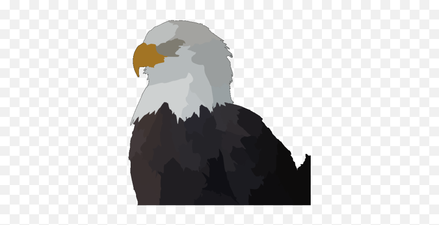 Eagle Head In Color Png Svg Clip Art For Web - Download Emoji,Head In The Clouds Emoji Eagle Head In Color Png Svg Clip Art For Web - Download Emoji,Head In The Clouds Emoji