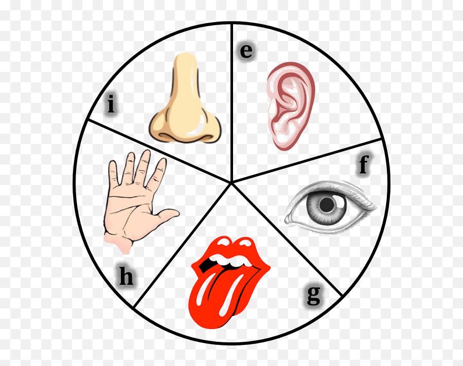 Taste Clipart Tactile Learning Taste Tactile Learning - Sense Organs Class 4 Emoji,Toung Out Emoji