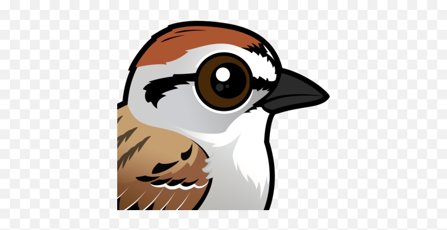 Chipping Sparrow - Cartoon Images Of Sparrow Emoji,Sparrow Emoji