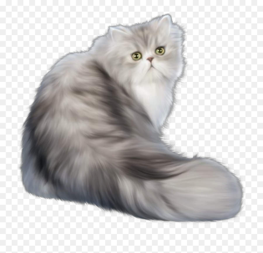 Beautiful And Fluffyj - Transparent Persian Cat Png Emoji,Cat Emoji Png