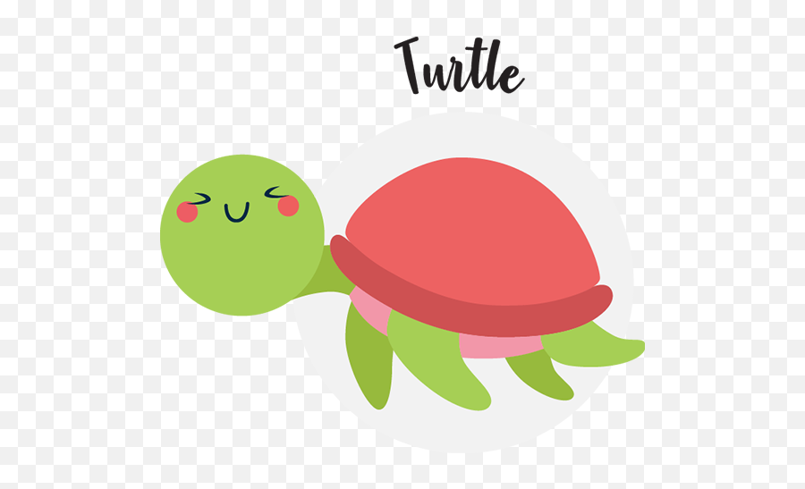 Toddler Swimming Lessons Singapore Little Splashes Aquatics - Tortoise Emoji,Turtle Emotions