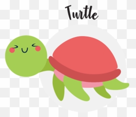 Toddler Swimming Lessons Singapore Little Splashes Aquatics - Tortoise Emoji,Turtle Emotions