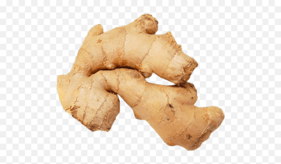 Ginger Root - Ginger Root Emoji,Ginger Root Emoji