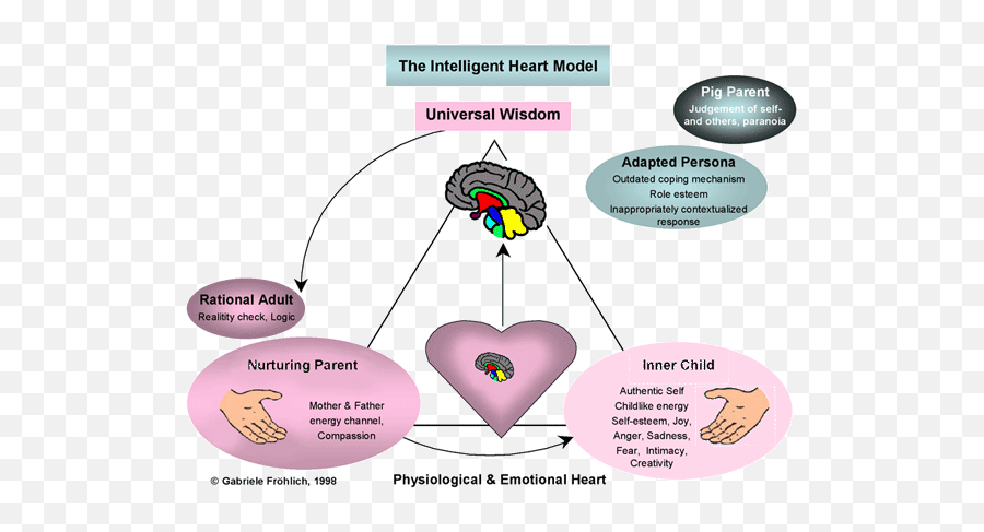Intelligent Heart Model - Language Emoji,Emotion Coaching The Heart Of Parenting