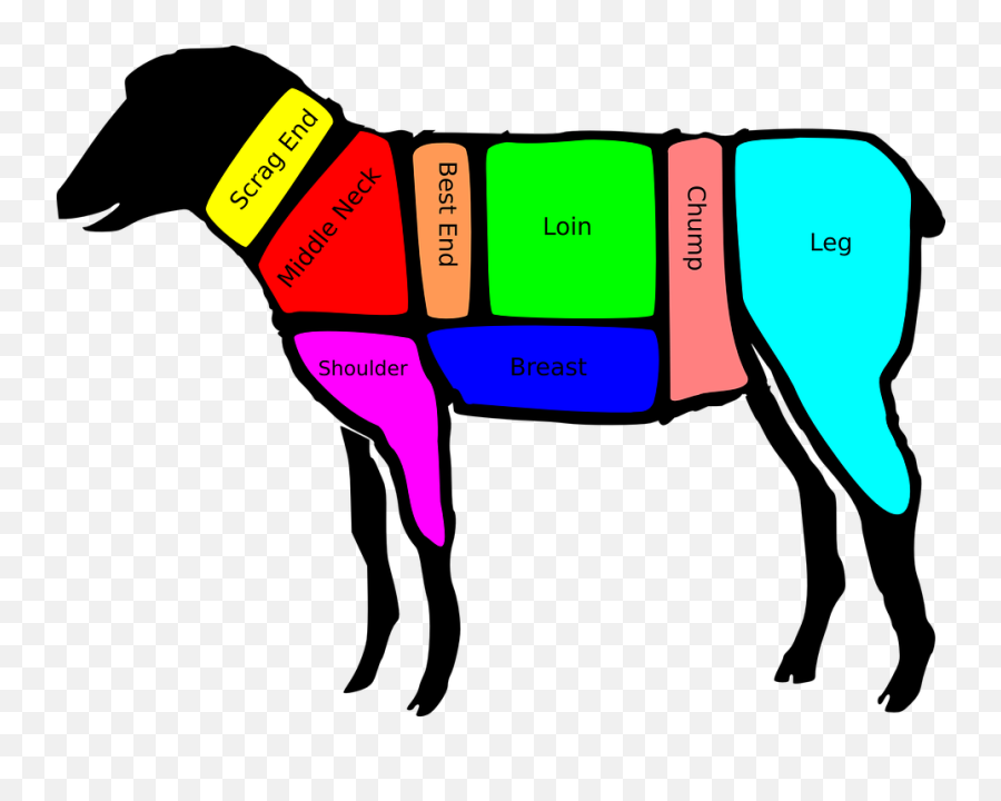 Free Photo Farm Nature Cut Lamb Mutton Diagram Sheep Chart - Primal Cuts Of Lamb Emoji,Pet Emotions Chart