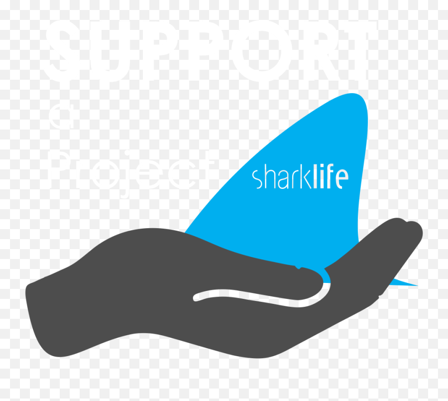 Sharklife Conservation Group - Shark Internship Emoji,1000000% Emoticon For Fb