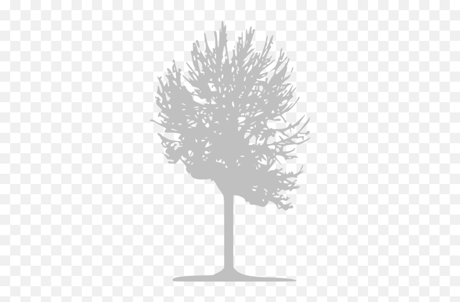 Silver Tree 2 Icon - Free Silver Tree Icons Emoji,Facebook Deciduous Tree Emoticon