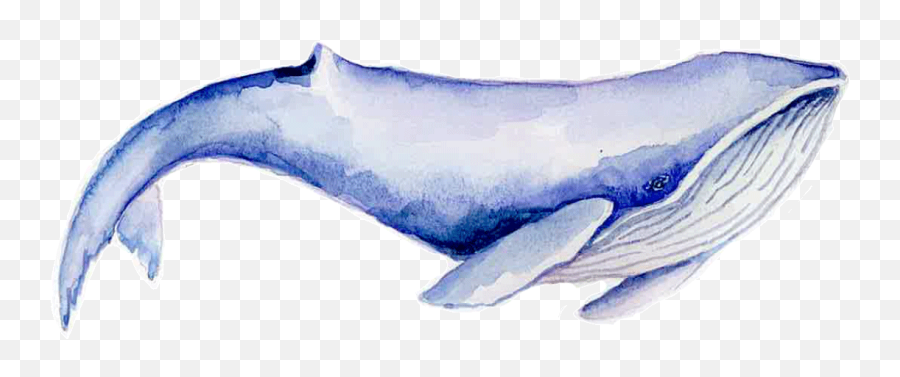 Pricing Olga Frost Emoji,Blue Whales Emotions