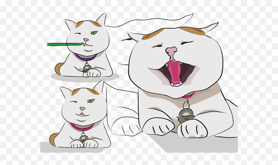 Happy Kitten Pet - Happy Emoji,Kitty Emotions For Kids