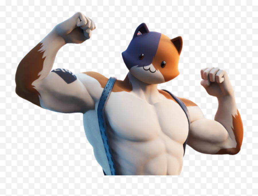 The Most Edited Meowscles Picsart - Meowscles Fortnite Emoji,Animated Bodybuilder Emoticons
