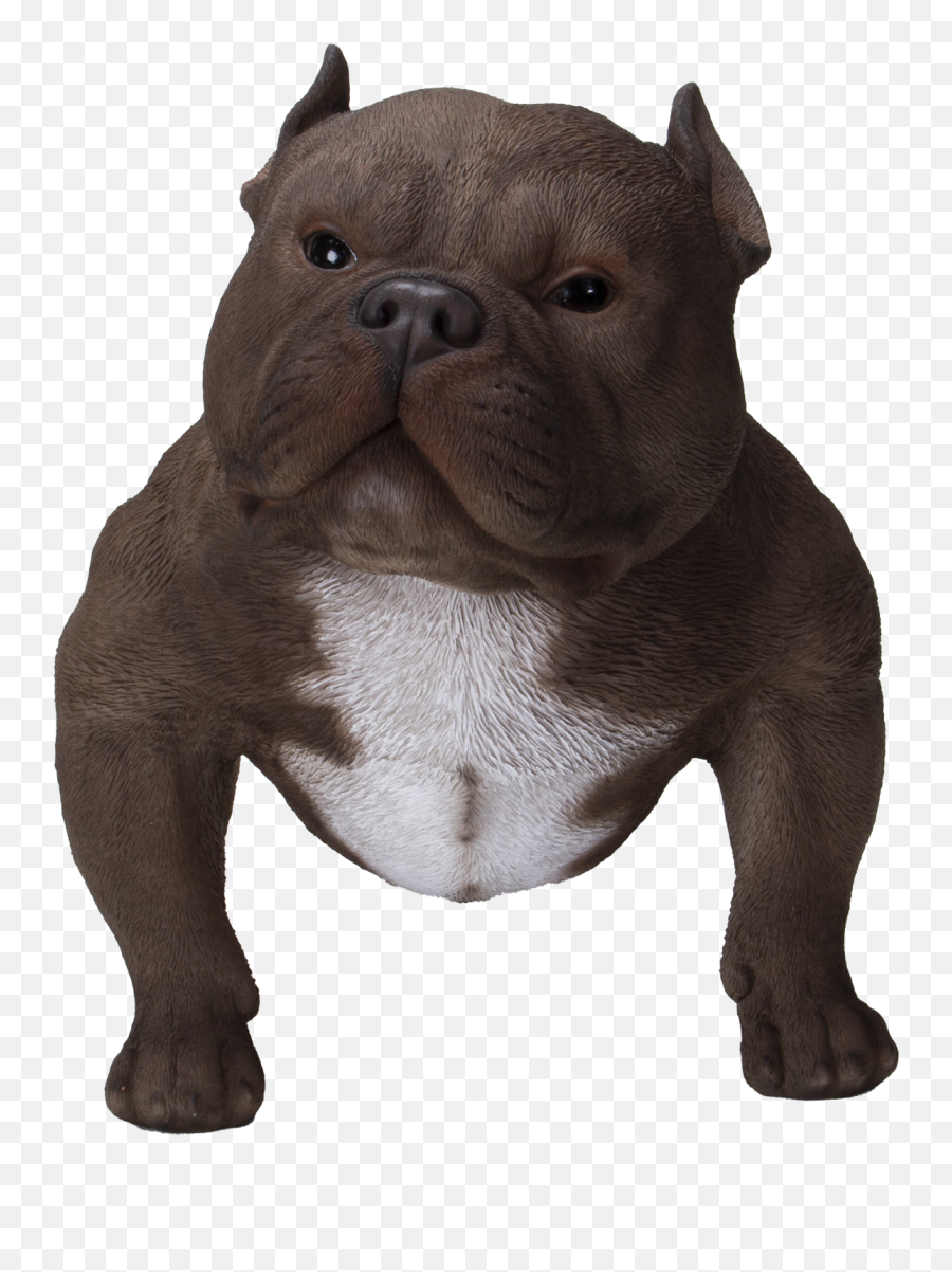 Animal World Realistic American Bully Dog Home Decor Resin Figurine Emoji,Emotion Dog Signsfor Bathroom.