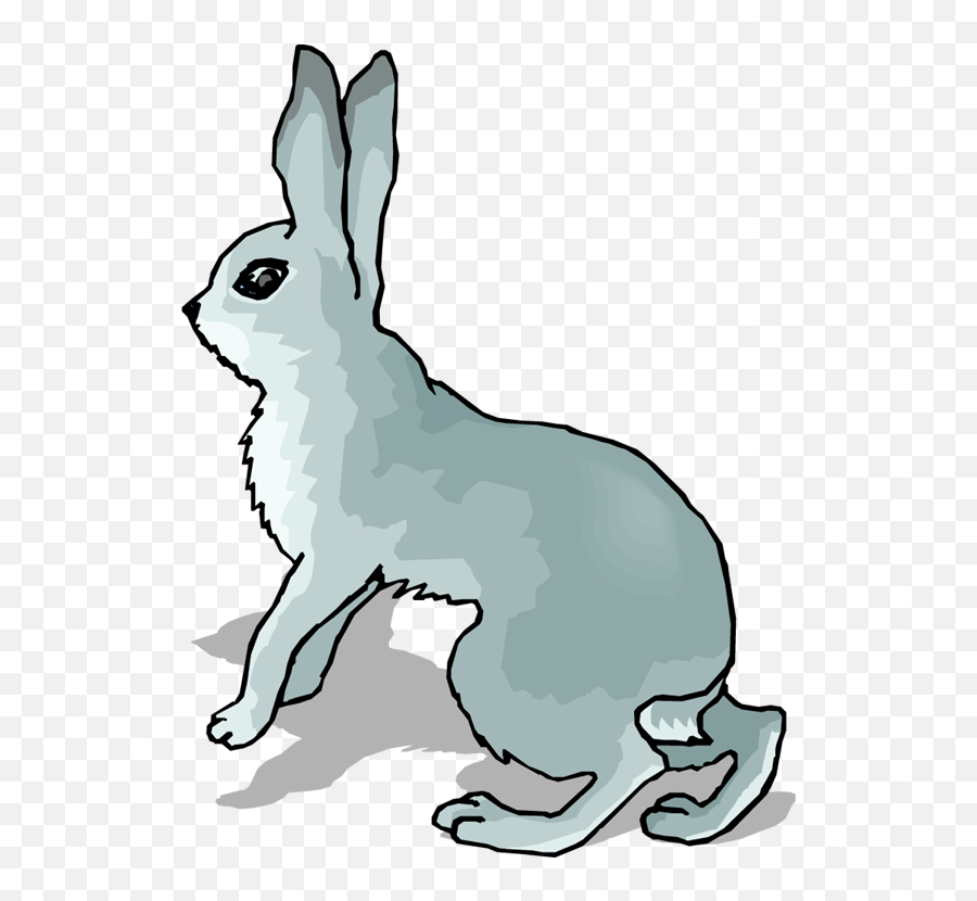 Cottontail Rabbit Clip Art N2 Free Image - Hares Emoji,Rabbit Emotions