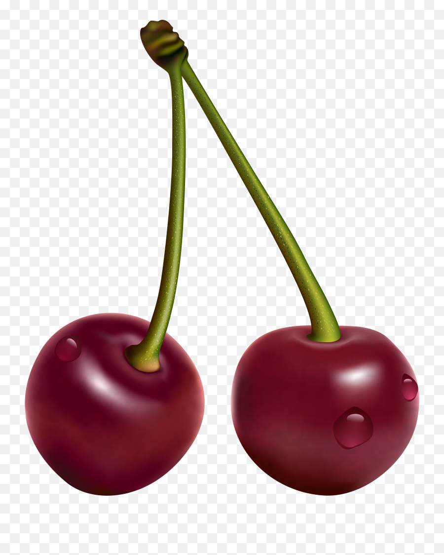 Png Cherry U0026 Free Cherrypng Transparent Images 18475 - Pngio Emoji,Cherry Cherry Cherry Emoji