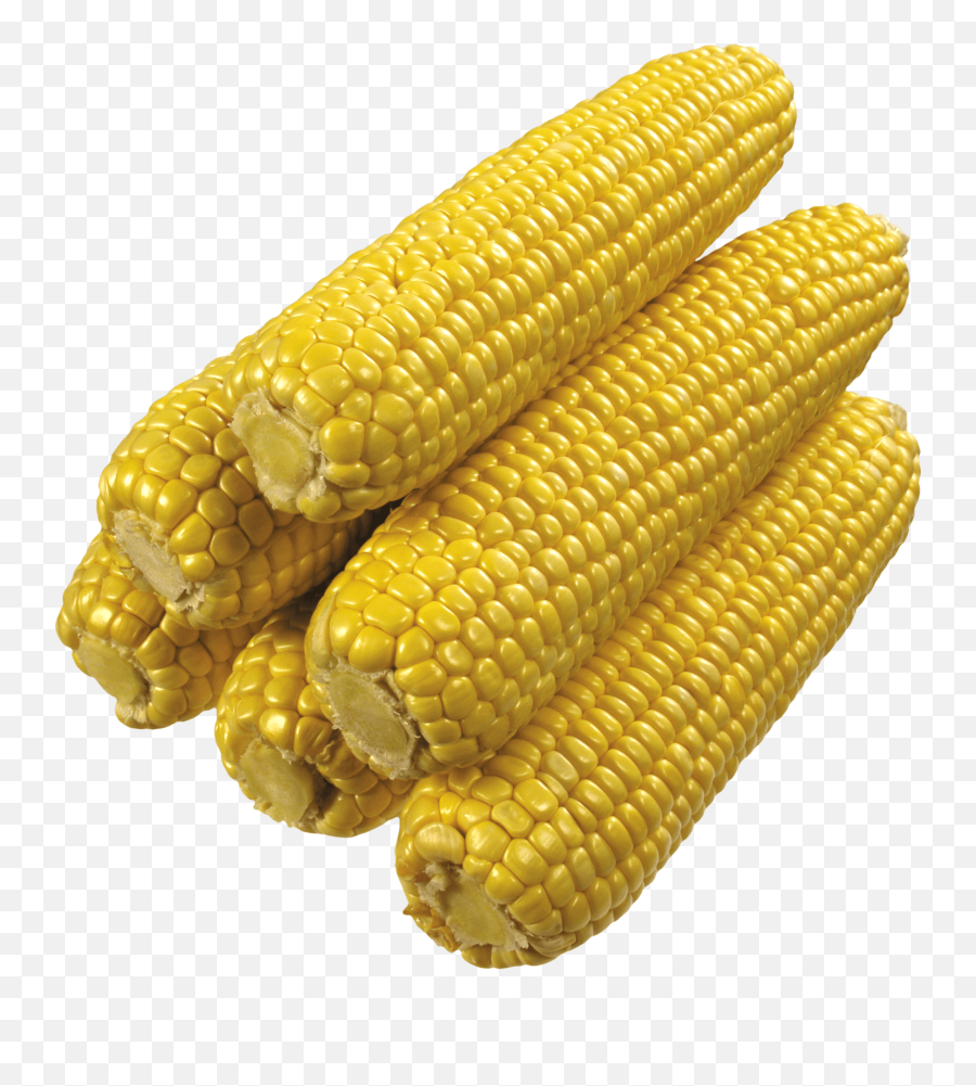 Corn Cut Out Png - 22062 Transparentpng Imagenes De Maíz Png Emoji,Corn Cob Emoji