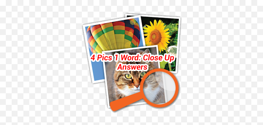 4 Pics 1 Word Close Up Answers U2022 October 2020 U2022 Game Solver - Close Up Pics Level 4 Answers Emoji,What Emoji Answers
