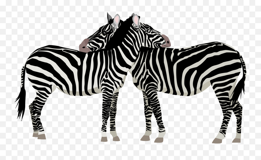 Families Clipart Zebra Families Zebra Transparent Free For - Zebra Vector Emoji,Zebra Emoji