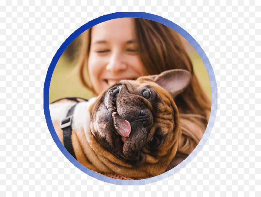 Emotional Support Animal Letter - Happy Dogs Emoji,Gary Larson Dog Emotion