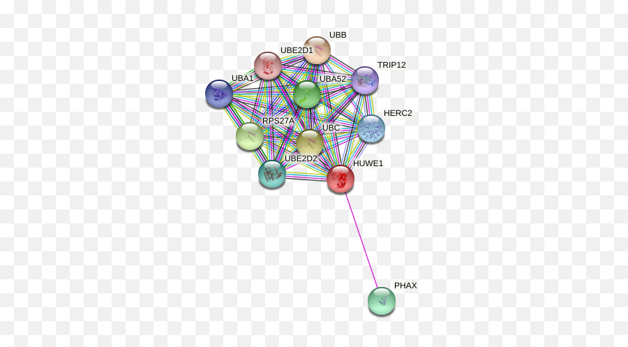 Huwe1 Protein Human - String Interaction Network Dot Emoji,Emotion Code People With Lupus