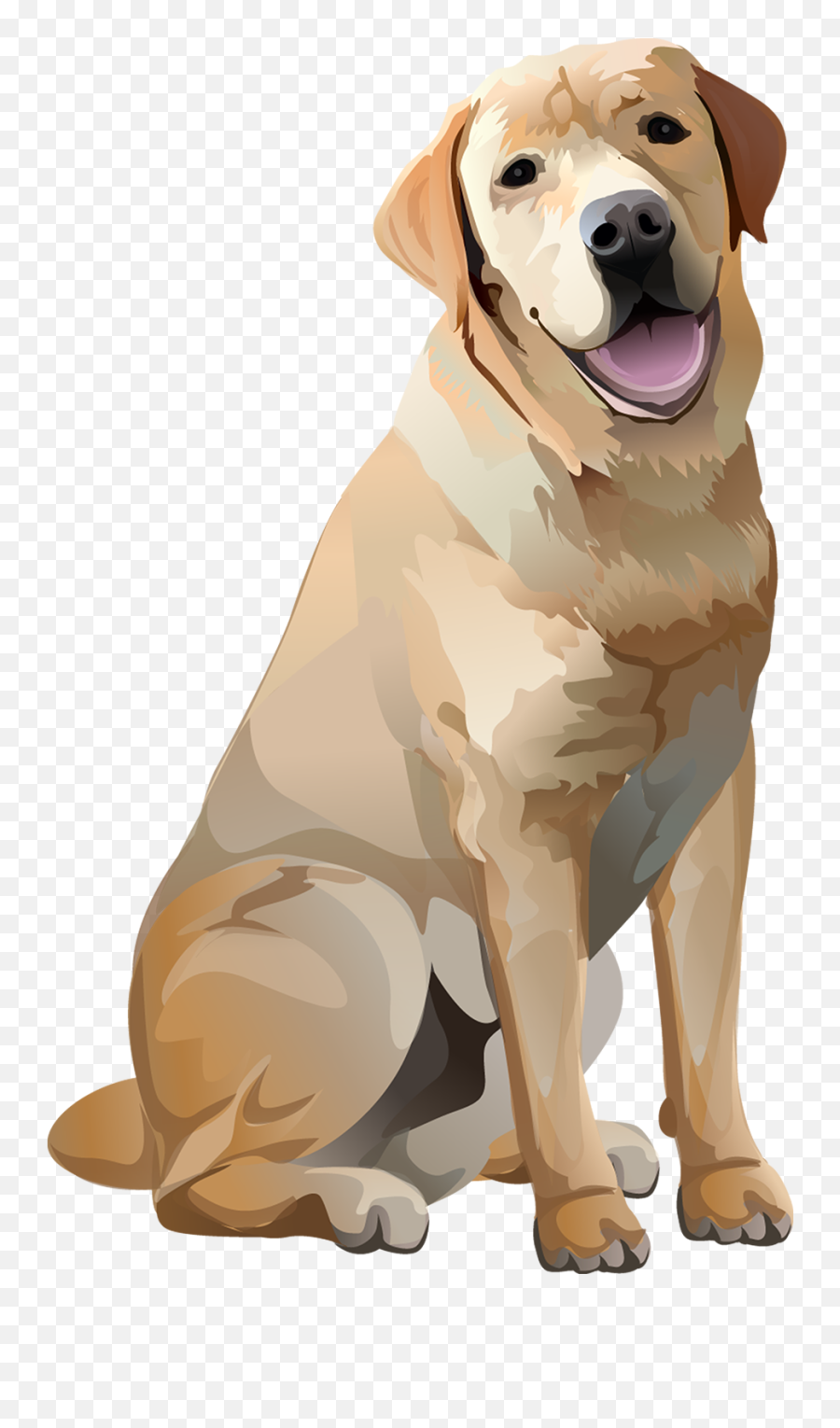 Tshirt - Labrador Dog Vector Png Emoji,Happy Birthday Emoticons With Labrador Retriever