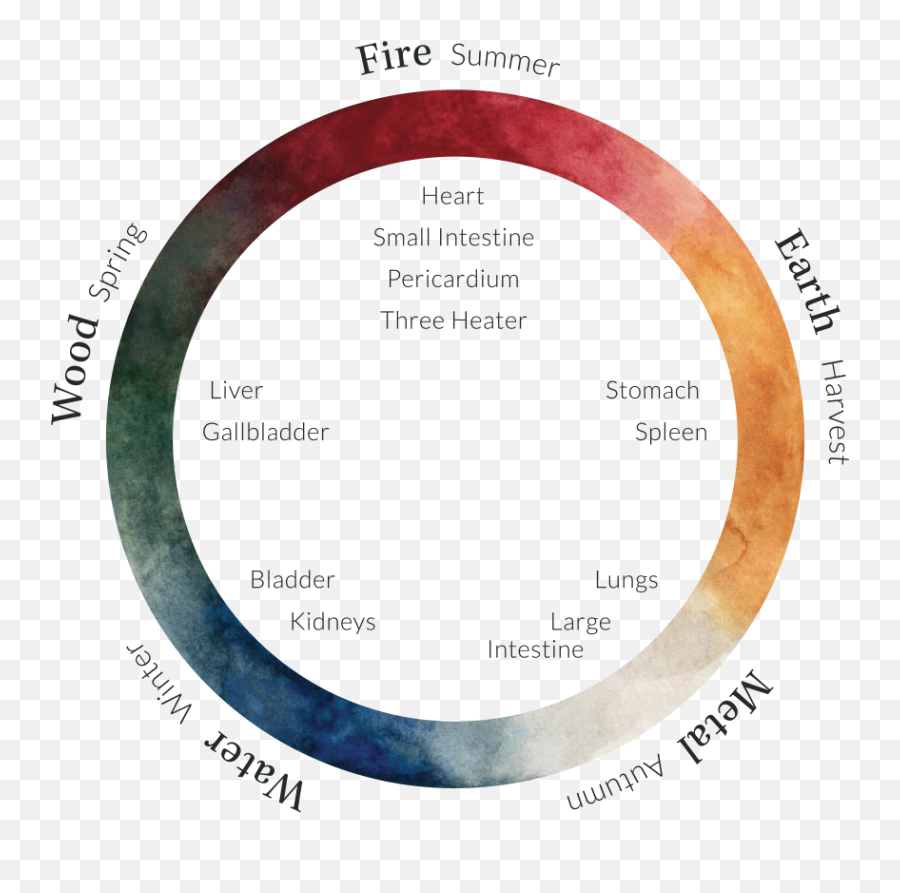 Five Element Acupuncture U2014 Vitala Acupuncture - Dot Emoji,Emotion Heater Diagram