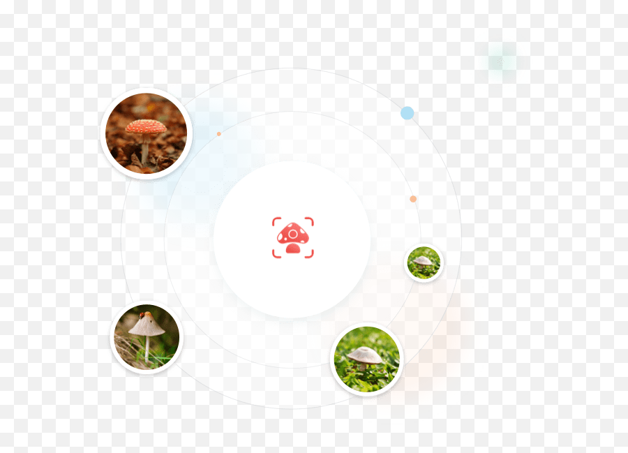 Picture Mushroom - Circle Emoji,How To Share Emotions Picyures