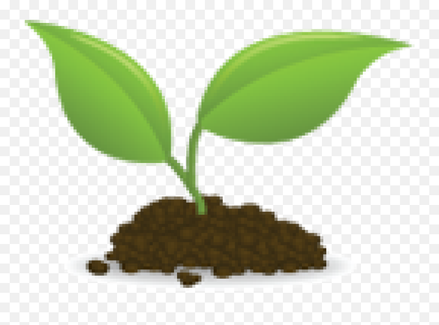 Seedling Clipart Many Plant Seedling - Seedlings Clipart Emoji,Sprout Emoji