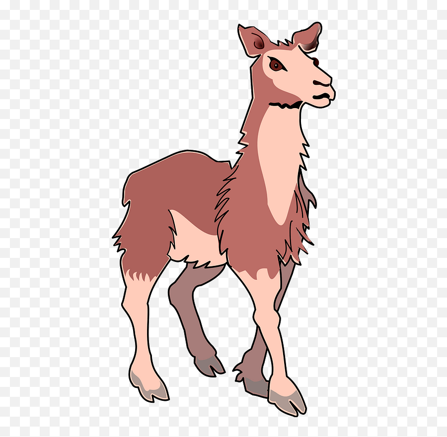 Llama Clipart - Lama Cliparts Emoji,Llama Emoji