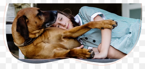 Adopt A Cat Or Dog - Guard Dog Emoji,Dog Ear Emotions\