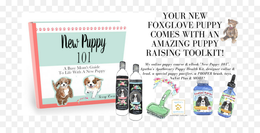 Cavapoo And Cavachon Puppies For Sale Foxglove Farm Emoji,Ebook Kisses Emoticon
