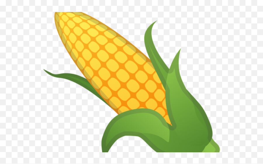 Corn Clipart Ear Corn - Espiga De Milho Desenho Png Emoji,Candy Corn Emoji