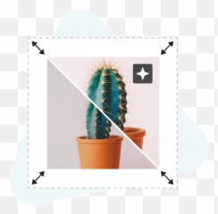 Design Maker - Flowerpot Emoji,Free Emoji Embroidery Designs