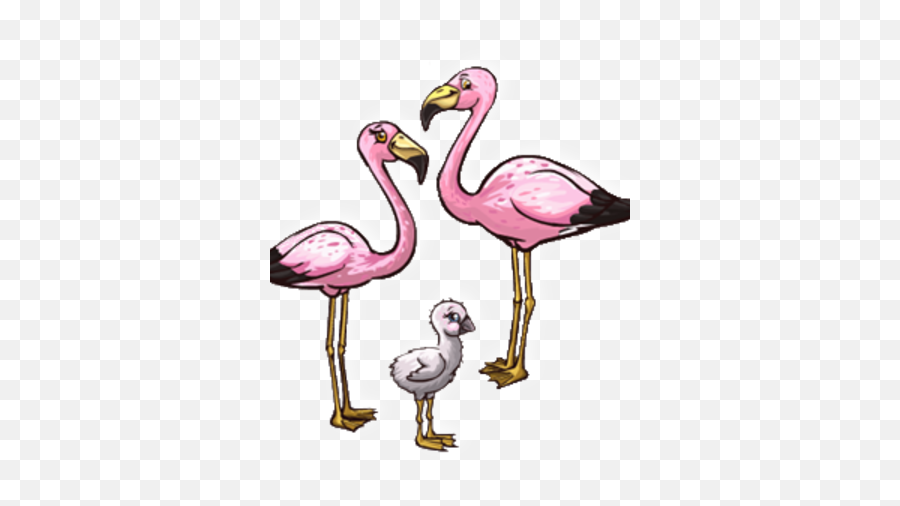 Andean Flamingo Png U0026 Free Andean Flamingopng Transparent - Girly Emoji,Flamingo Emoji