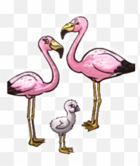 Andean Flamingo Png U0026 Free Andean Flamingopng Transparent - Girly Emoji,Flamingo Emoji